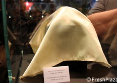 Misteri... ancora da scoprire a breve!