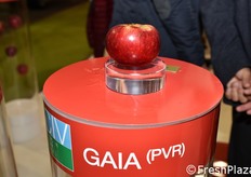 Una carrellata sulle nuove proposte varietali nella mela del CIV.