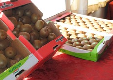 Esposizione Agrintesa, Faenza