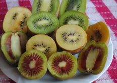 Kiwi di tre varieta': boerica (polpa verde), Jintao (polpa gialla), Dong Hong (polpa rossa)