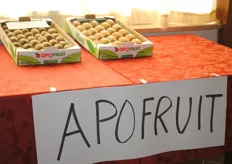 Esposizione kiwi Apofruit (sede di Aprilia).