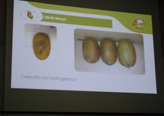 Qui e nelle foto seguenti, alcune diapositive della relazione di Gentili.