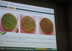 Alcune diapositive proiettate durante la relazione di Loreti S.