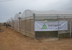 Top Seeds Italia e' la filiale italiana del gruppo israeliano Top Seeds Ltd e Kaiima, specializzato in ricerca, selezione e produzione di sementi orticole professionali.