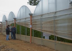 L'evento, che si e' tenuto presso l'Ass. Agr. Sempl. San Giuseppe di Donnalucata, nell'agro di Scicli (provincia di Ragusa), era rivolto a tutti gli operatori del settore orticolo della Sicilia con un focus orientato ai coltivatori della categoria saladette/oblungo.