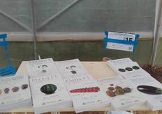 I cataloghi Top Seeds Italia.