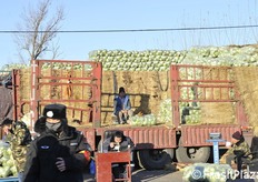 Sopra, l'addetto alla logistica. Sotto, il commerciale. Davanti, la guardia