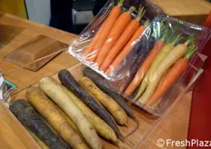 Assortimento varietale di carote Bejo per il consumo tradizionale.