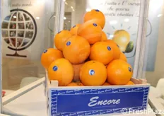 Nell'occasione della tre-giorni berlinese e' stato lanciato il marchio Encore per la frutta spagnola.