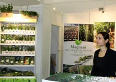 L'azienda emiliana Magnani e' dedita alla coltivazione di erbe aromatiche. Tutti i prodotti aziendali sono lavorati freschi appena raccolti dai campi.
