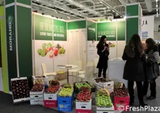 Il gruppo veronese Morando esporta frutta e verdura in tutto il mondo, in particolar modo nei principali paesi europei ed extra europei. In foto: Katia Morando, sales director della Morando Trading, a colloquio con dei visitatori.