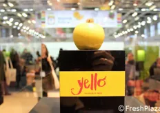 La Mela Yello, tra i finalisti del Fruit Logistica Innovation Award 2017, e' una nuova varieta' nel segmento delle mele a buccia gialla, contraddistinta da caratteristiche organolettiche di eccellenza.