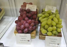 Varietà di uva da tavola (serie apirena Arra) licenziate da TopFruit Sudafrica.