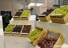 Veduta d'insieme delle varietà di uva da tavola licenziate da TopFruit Sudafrica.
