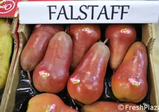 Falstaff, la pera rossa selezionata da Lorenzo Rivalta.