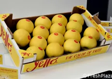 Yello – The Color of Taste, di VI.P / VOG.