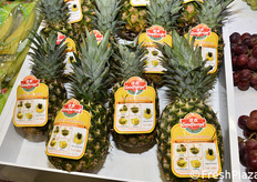 Nello stand della compagnia cinese Goodfarmer