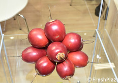 Tamarillo dalla Colombia