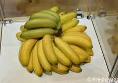 Banane dalla Colombia