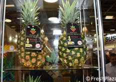 Ananas dalla Colombia