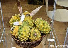 Pitahaya dalla Colombia