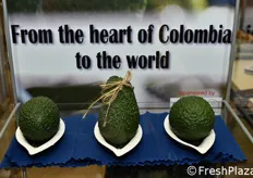 Avocado dalla Colombia