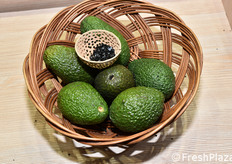 Avocado dalla Colombia