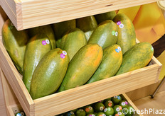 Papaya dalla Colombia