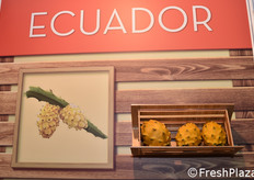 Nello stand della compagnia colombiana Ocati