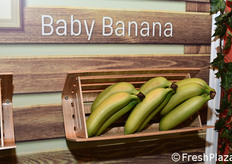 Nello stand della compagnia colombiana Ocati