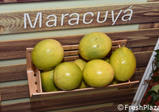 Nello stand della compagnia colombiana Ocati