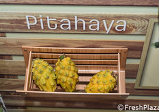 Nello stand della compagnia colombiana Ocati