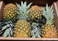 Ananas dal Costa Rica