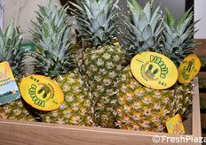 Ananas dal Costa Rica