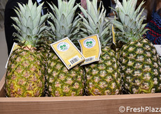 Ananas dal Costa Rica