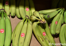 Banane dal Costa Rica