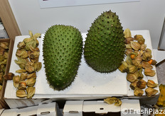 Guanabana e alchechenge (physalis) dall'Ecuador