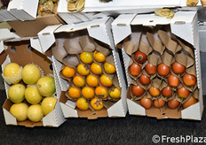 Frutta tropicale dall'Ecuador