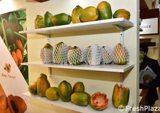 In uno stand indiano