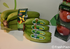 In uno stand indiano