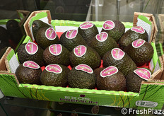 Avocado in uno stand del Marocco