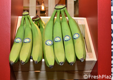 Banane dal Messico