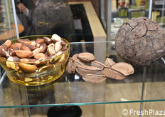 Noci dell'Amazzonia dal Peru'