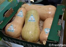 Zucche violine dal Senegal