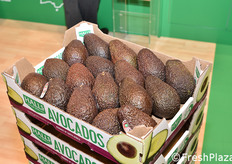Avocado nello stand della compagnia sudafricana Hall's