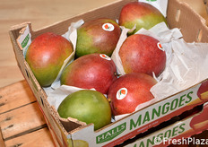 Mango nello stand della compagnia sudafricana Hall's