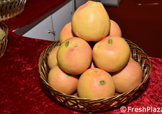 Pomelo dal Sudan