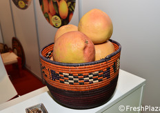 Pomelo dal Sudan
