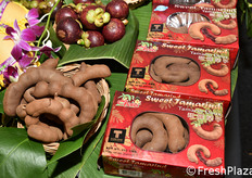 Tamarindo dalla Thailandia