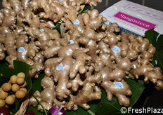 Zenzero dalla Thailandia